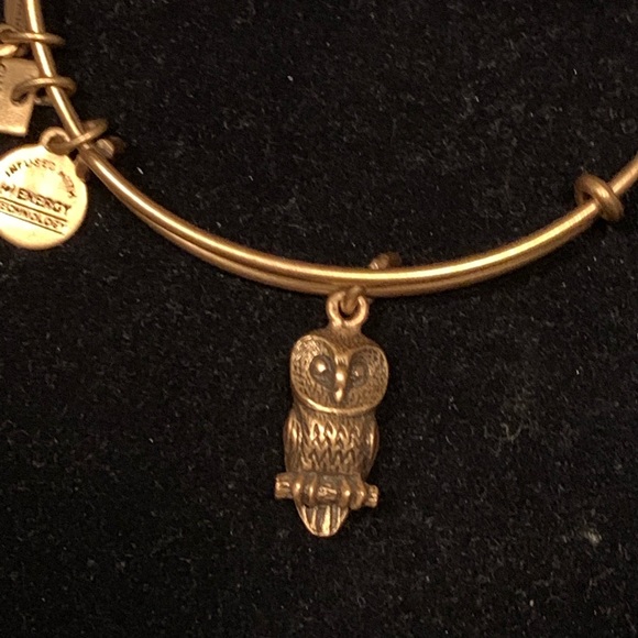 Alex and Ani Ode to the Owl charm bracelet - Picture 3 of 3